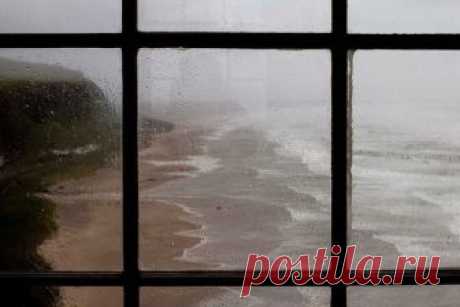 Человек, который всегда молчал (Дикая Собака Динго) / Стихи.ру