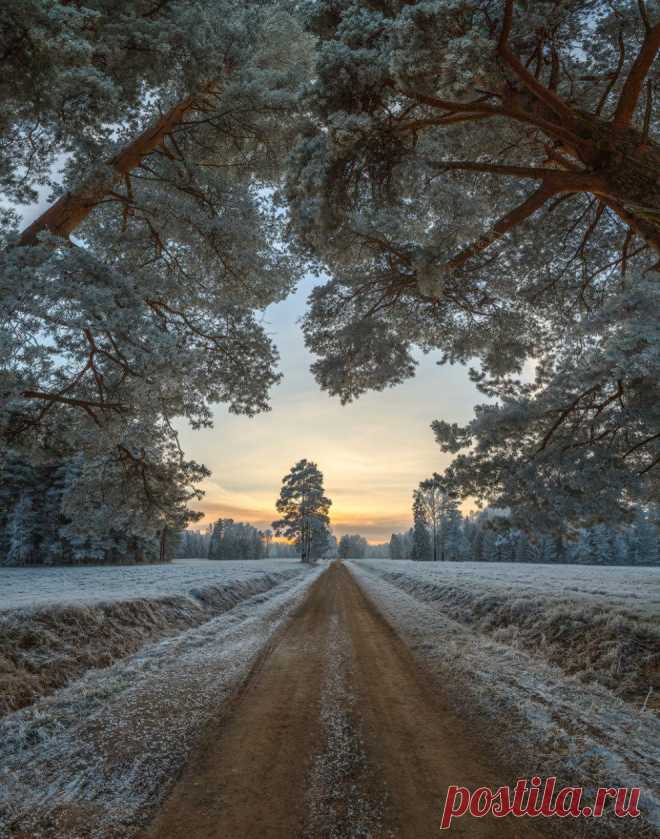 В прекрасное далёкое! | National Geographic Россия