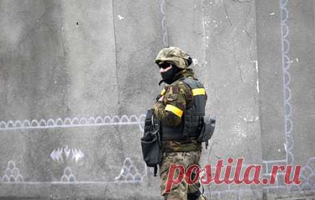 Австралийский наемник обвинил командиров ВСУ в некомпетентности и жестоком обращении. Корпорация ABC обратилась к послу Украины Василию Мирошниченко с просьбой &quot;довести до сведения украинского командования опасения, высказанные австралийским наемником&quot;