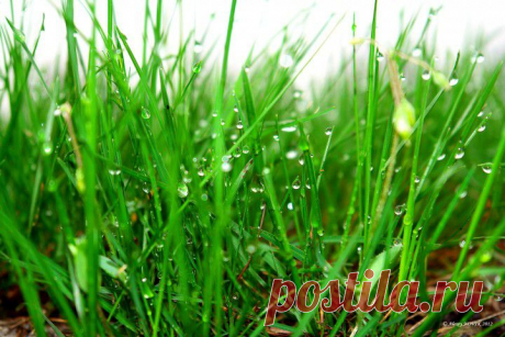 Фотопрогулки. Глоток весны | ЛЮБИМЫЕ