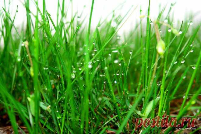 Фотопрогулки. Глоток весны | ЛЮБИМЫЕ