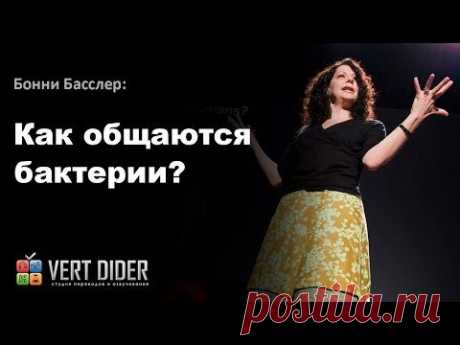 Лекция Бонни Басслер: как общаются бактерии? — Популярная механика