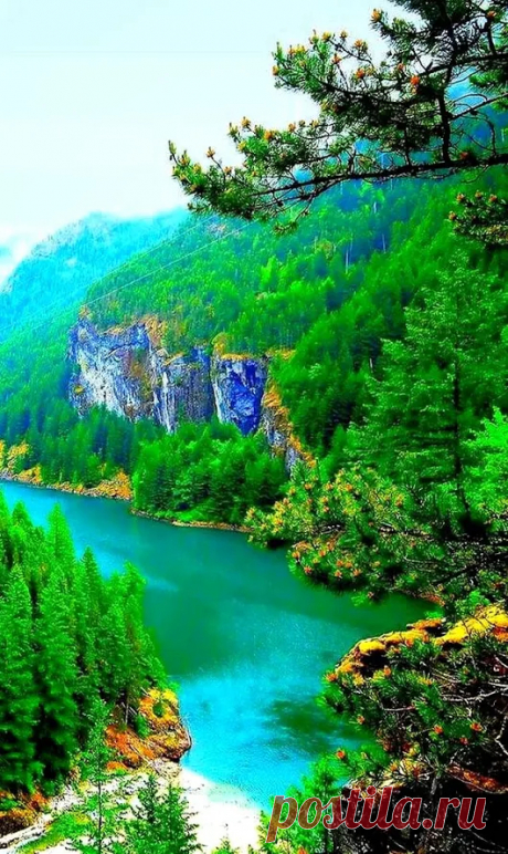 Google+