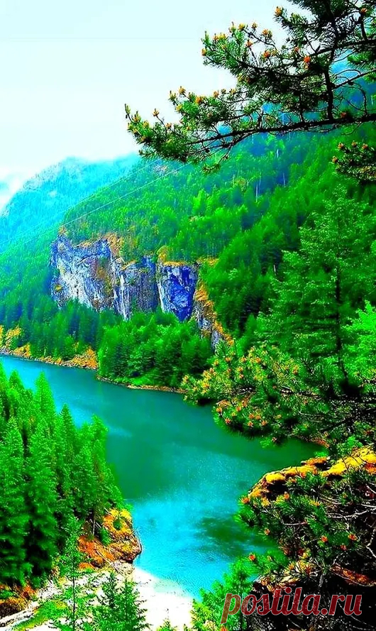 Google+
