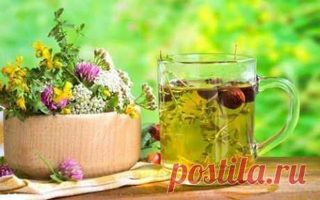 Рецепты зелёной аптеки