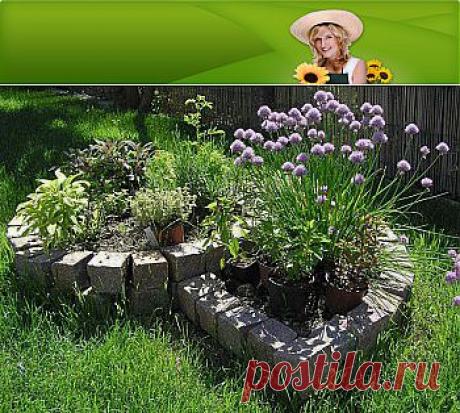 Как сделать клумбу для трав шаг за шагом :: Цветущая дача