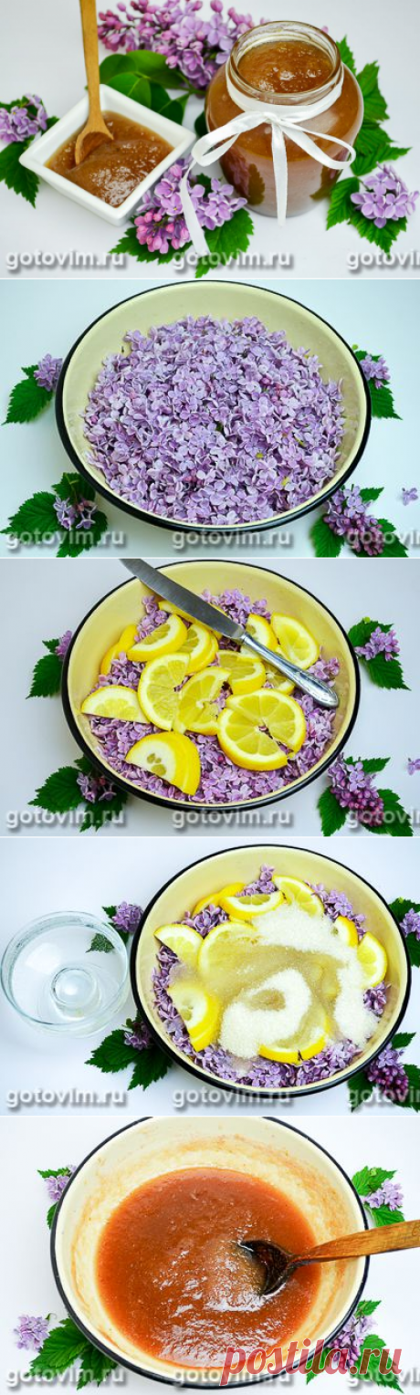 Варенье из сирени с лимоном