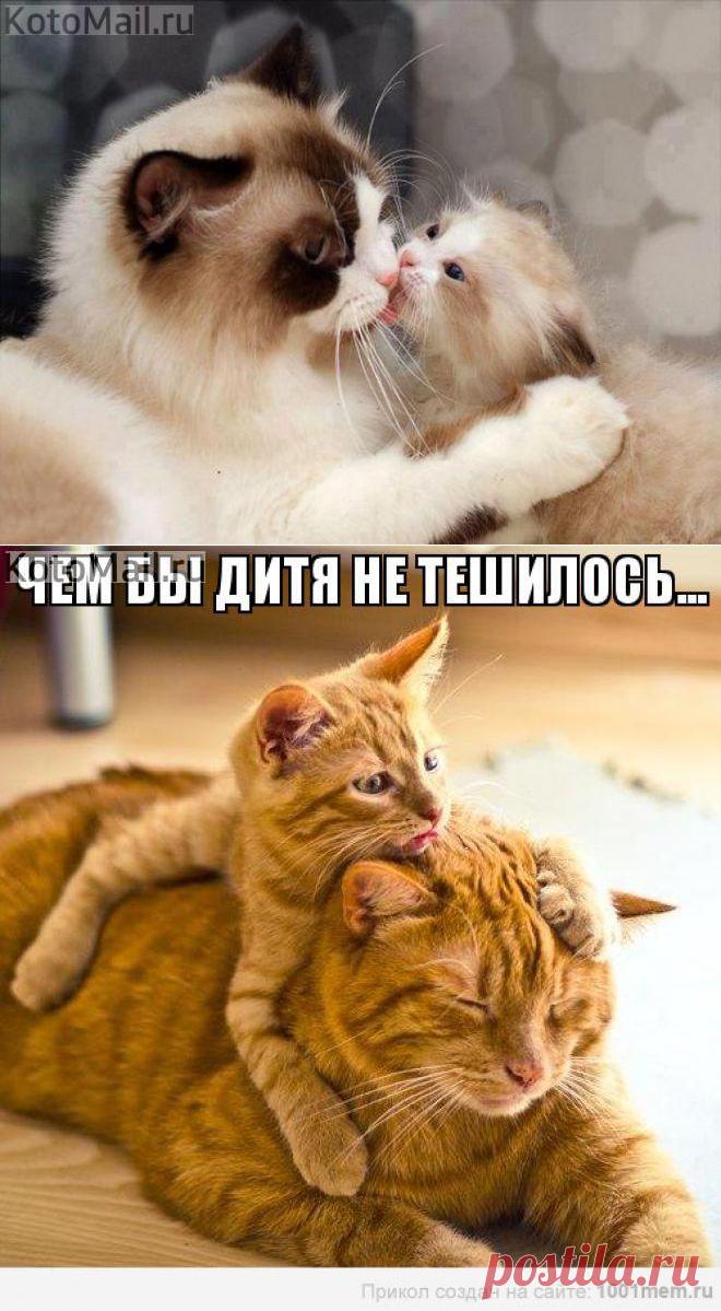 Нежность к маме | KotoMail.ru