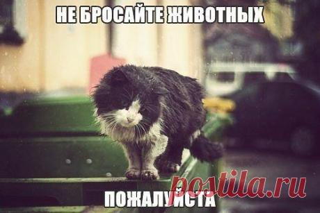 У нас много интересного