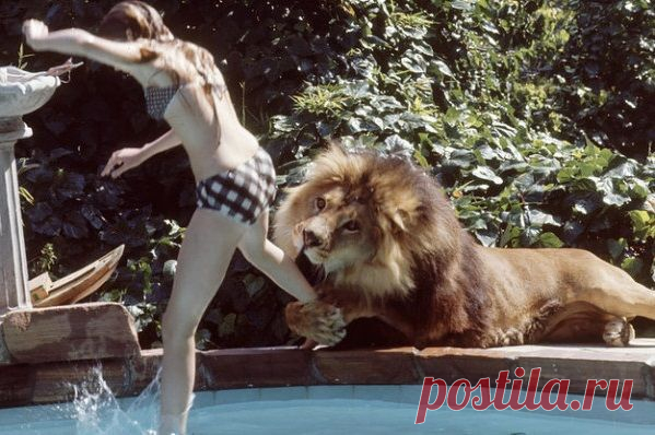 Фотографии подростка Мелани Гриффит и ее домашнего Льва в 1970-х | В мире