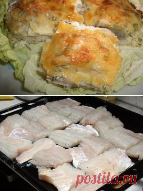 рыба запеченная в духовке
Вкусная рыба в духовке, причем очень простой рецепт, простенько, без изысков, но надежно, потому что всегда получается.