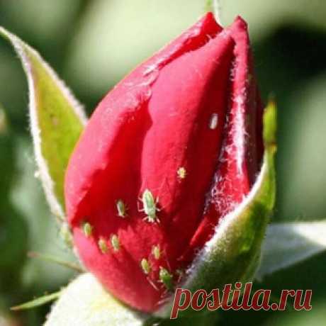 Новости - МирТесен