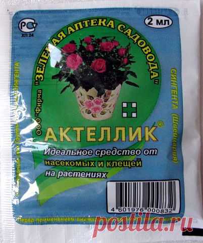 "Актеллик" - инсектицид и акарицид. Средство для борьбы с тлями, щитовками, долгоносиками, пилильщиками, белокрылками, клещами и др. вредителями растений.
