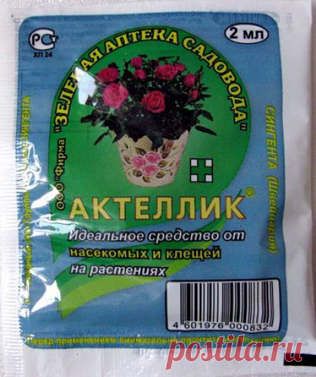 &quot;Актеллик&quot; - инсектицид и акарицид. Средство для борьбы с тлями, щитовками, долгоносиками, пилильщиками, белокрылками, клещами и др. вредителями растений.