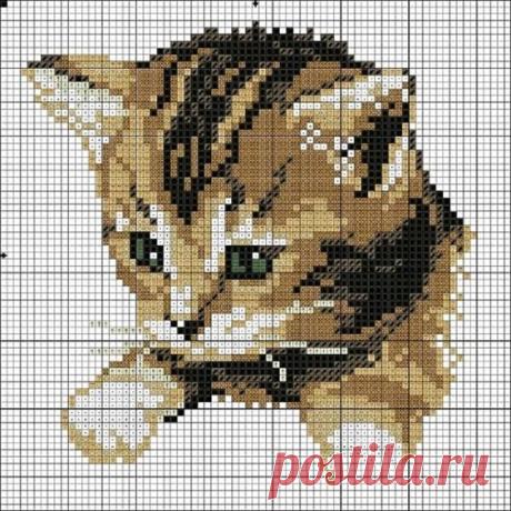 (2842) Pinterest