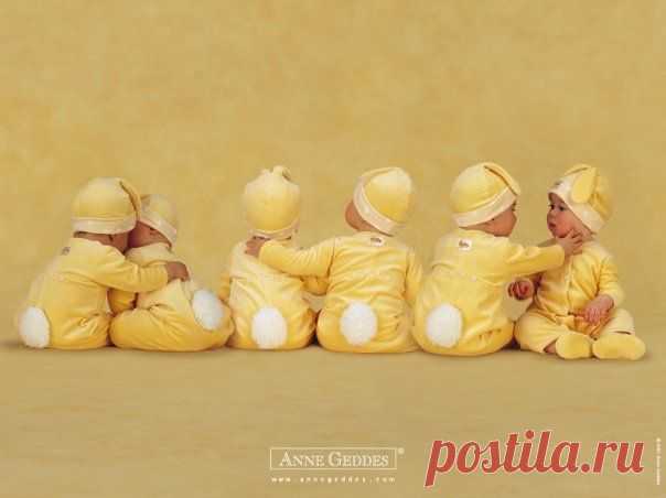 Anne Geddes | 84 фотографии