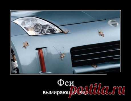 Демотиваторы - приколы