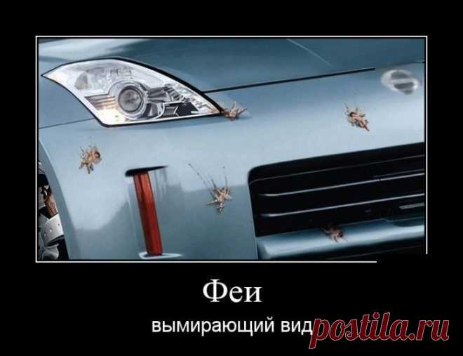 Демотиваторы - приколы