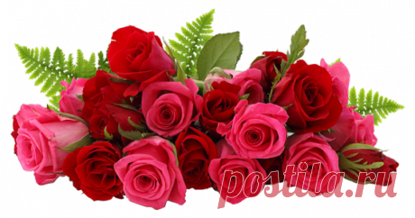 Личный дневник Алёна на 24open.ru. Бесплатные блоги на 24open.ru!