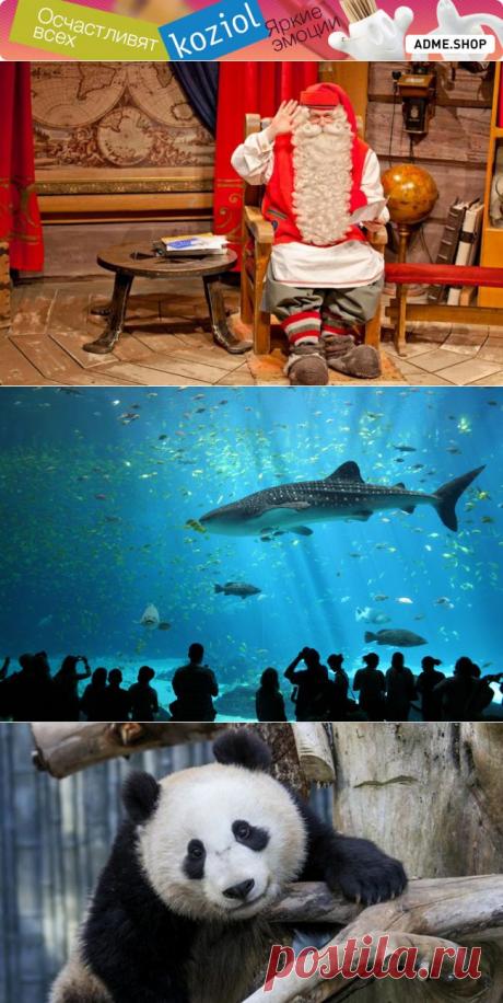 12 самых интересных веб-камер года