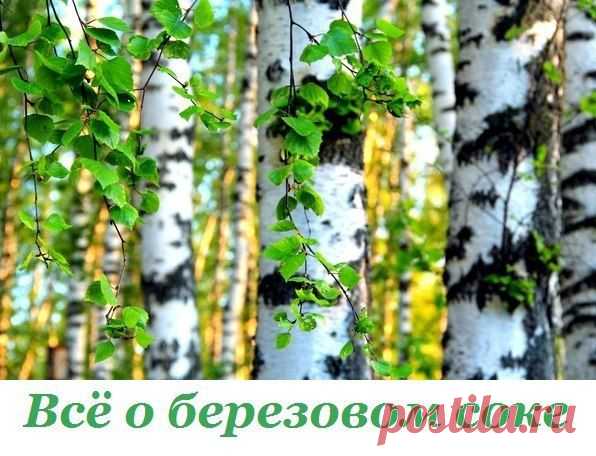Берёзовый сок..