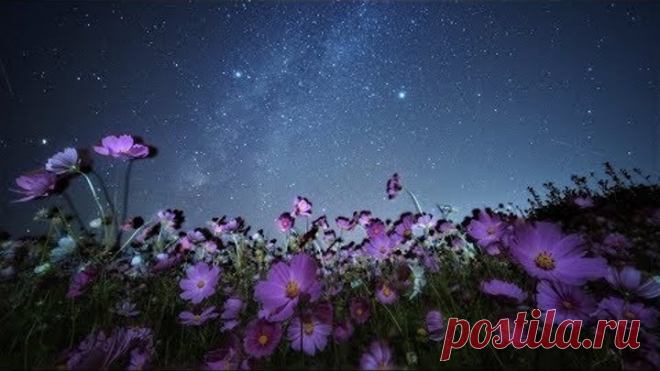 ЭТА Самая Красивая Трогательная и Мелодичная Музыка на Свете! Послушай