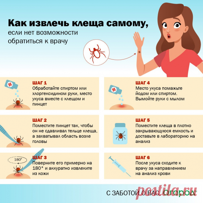 Как извлечь клеща самому