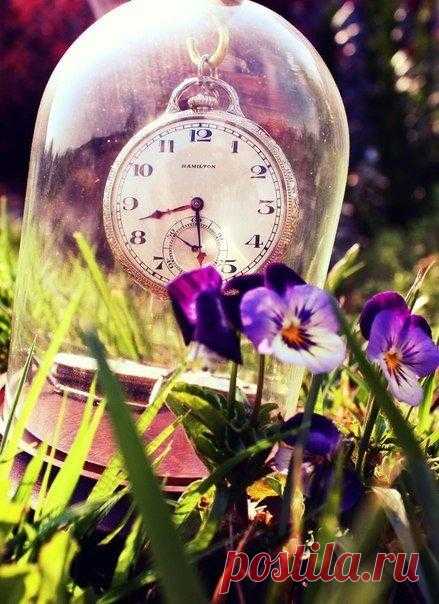 Радуйтесь, что вы можете просыпаться каждое утро и проживать новый день. Будьте счастливы, что вы живы, здоровы, имеете друзей, обладаете способностью творить и ощущать радость бытия. Доброго утра!