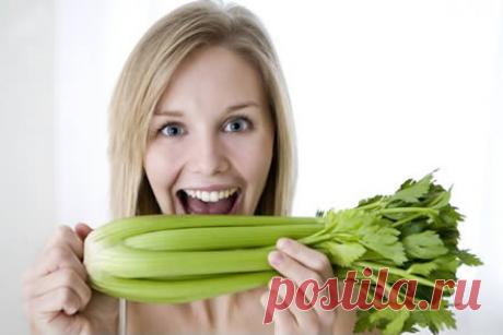 Как похудеть с помощью сельдерея | Четыре вкуса