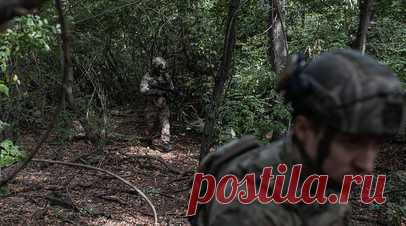 РИАН: воевавший за ВСУ кузен Вэнса приглашён на форум безопасности в Польше. Двоюродный брат американского вице-президента Джей Ди Вэнса Нейт Вэнс, который воевал в зоне СВО за ВСУ, попал в заявку форума по безопасности в Варшаве как спикер. Читать далее