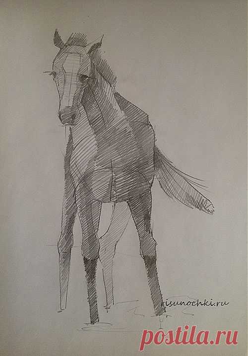 Рисуем лошадь