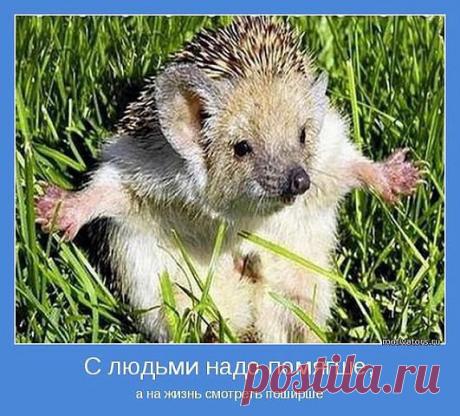 Ольга Регель
Казахстан, караганда
все её фото