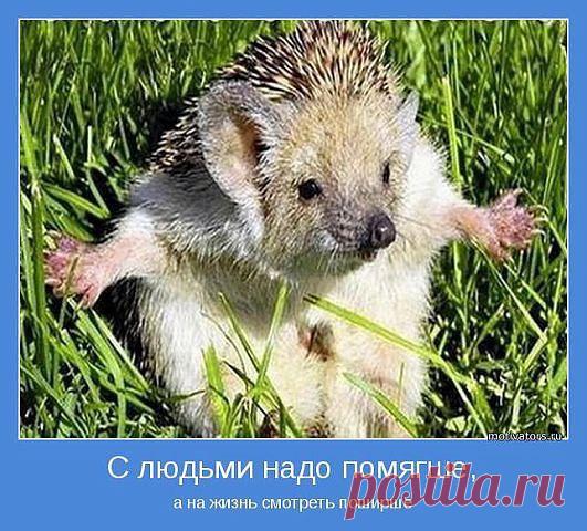 Ольга Регель
Казахстан, караганда
все её фото