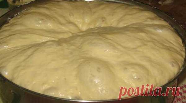 Простой рецепт. Рецепт самого вкусного теста для пирожков | Домашние рецепты вкусной выпечки | Яндекс Дзен