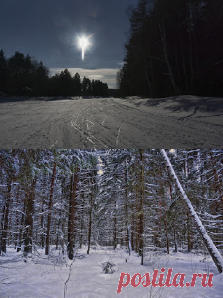 Фотопутешествия: Зима в Подмосковье
