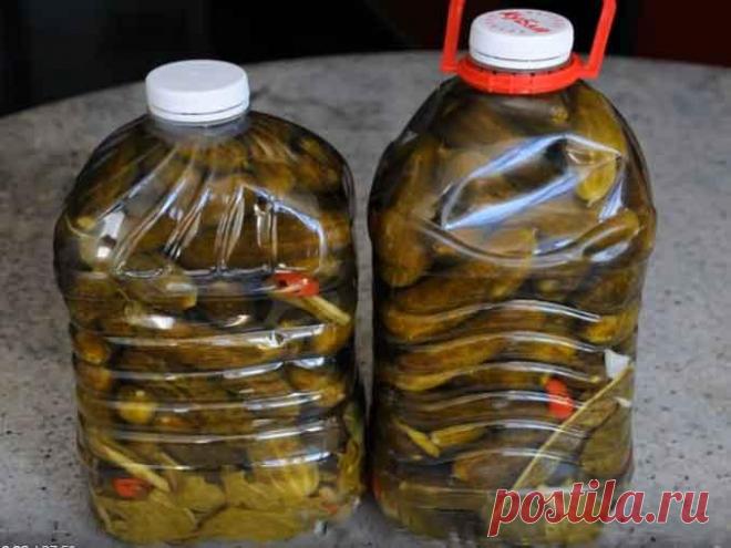 Очень вкусные огурцы в пластиковой бутылке: на вкус как из бочки