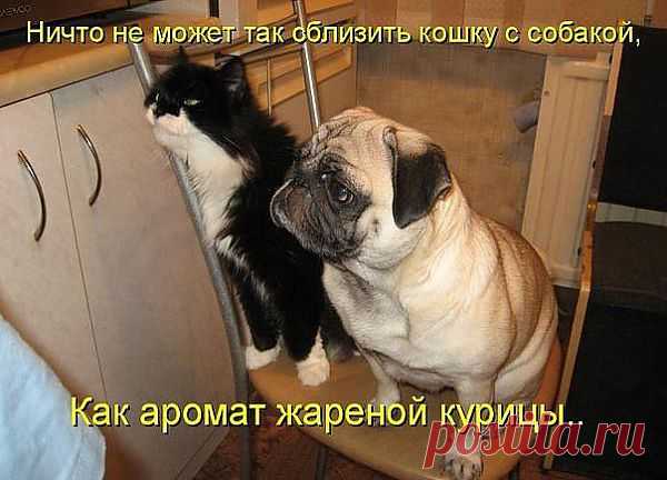 (50) Одноклассники