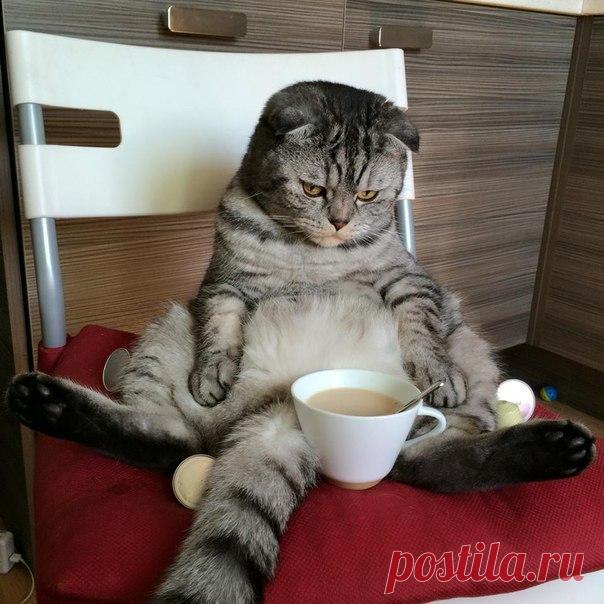 Хотел спать.
Выпил крепкий кофе. 
По-прежнему хочу спать, но уже более энергично.