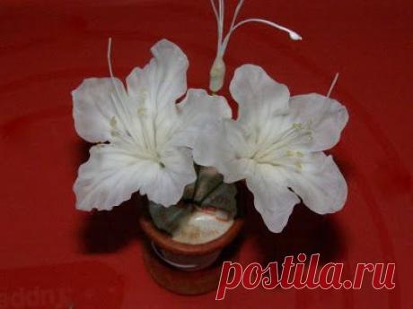 Мастер-класс по изготовлению небольшого цветочка - Цветочная феерия Ручная работа