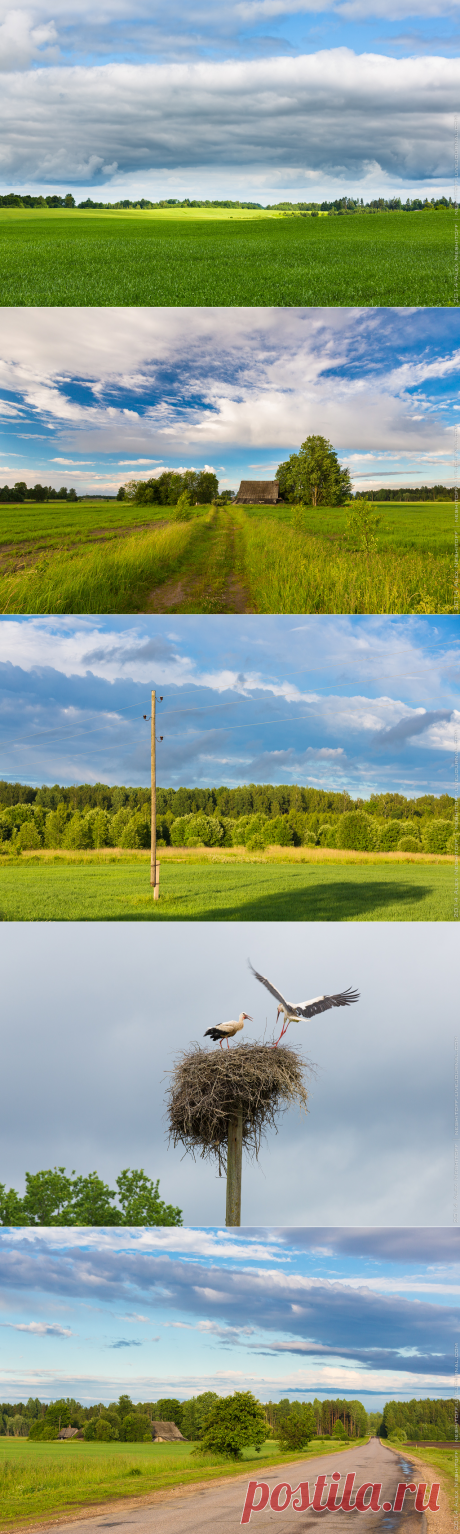 Латвийская пастораль .