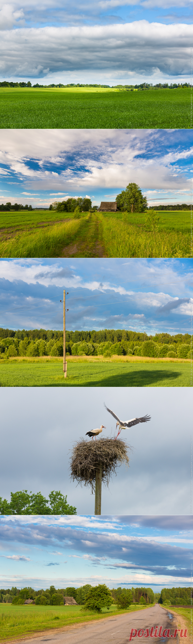 Латвийская пастораль .
