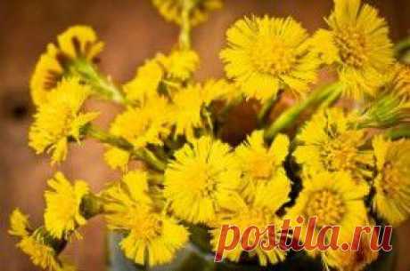 мать и мачеха!