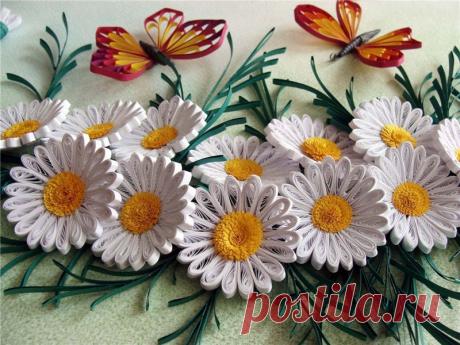 Фотографии на стене сообщества | 32 803 фотографии