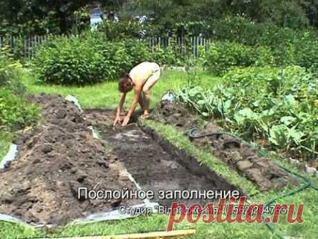 Теплая грядка