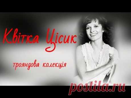 Квітка Цісик  Трояндова колекція