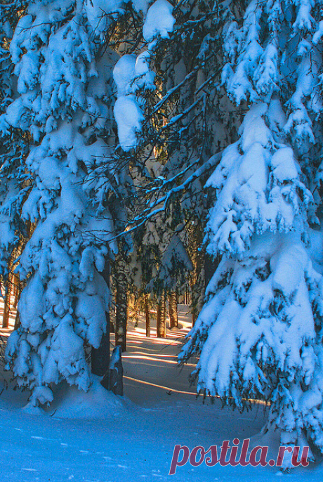 Life Is Beautiful — amazingwilderness: Source Grand Mesa, Colorado