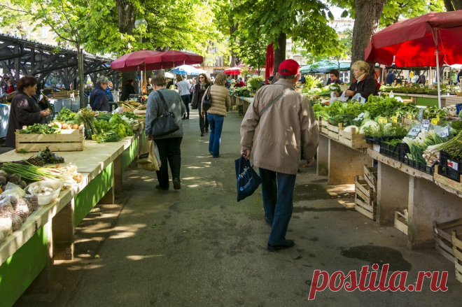 Француз угостил закуской. Я была в восторге. Рецепт очень простой | mme.Bonbon | Яндекс Дзен