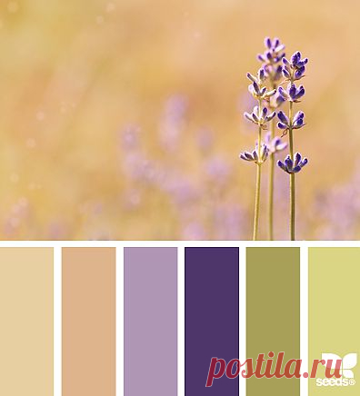 for all who ❤ color | color field