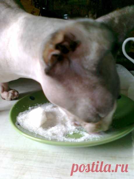 Люблю сахар!)))