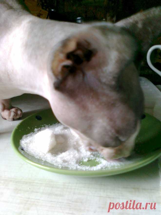 Люблю сахар!)))